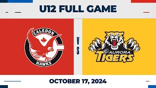 Caledon Hawks vs Aurora Tigers | U12 - Oct 17 2024