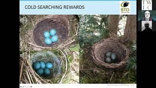 Safely monitoring garden bird nests – Ben Darvill talk at TWIC Autumn Conference 2021