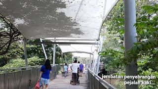 Jalan jalan sekitar area tetangga lewat jembatan penyebrangan ULU PANDAN Canopy Bridge.