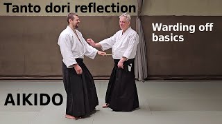 Aikido warding off basics: tanto dori reflection, by Stefan Stenudd