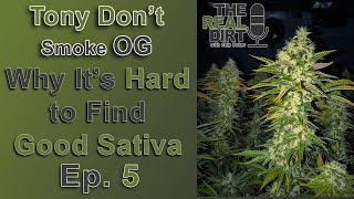 Why You Don't See Many Great SATIVA Strains [Tony Don't Smoke OG Ep. 5]