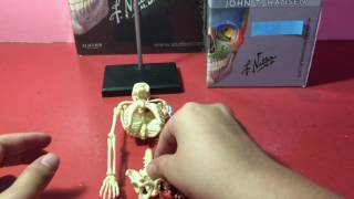 ANATOMY 4D PUZZLE HUMAN SKELETON MODEL 46 PARTS