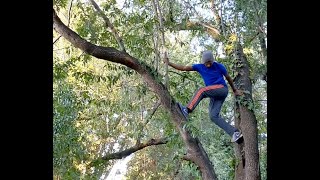 Straddle tree climb