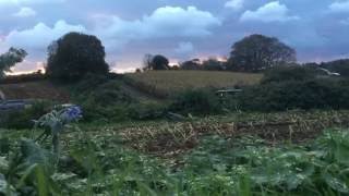 Harvesting Maize at La Brigade Farm Guernsey CI