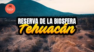 Reserva de la Biosfera de Tehuacán - Cuicatlán