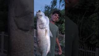 🔥Small boy catches a big fish🔥🔥சின்ன பையன் பிடித்த ராட்சத மீன்🔥😱#fishing #fishinglife #shorts