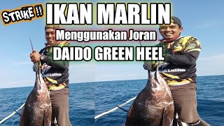 IKAN BLACK MARLIN VS DAIDO GREEN HEEL