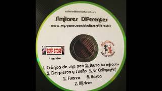 Similares Diferentes / Basta (Expresiones Musicales)