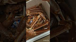 🇨🇦Canada🦀snow crab season/easy recipe/yummy delicious/😋good deal/加拿大雪蟹