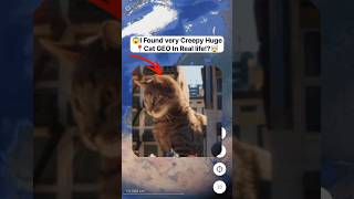 😱I Found very Creepy Huge Cat 🐈 In Real life!?🤯On Google Earth and Google maps 🌍#cat #viralshorts