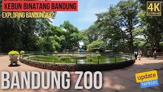 🔴BANDUNG ZOO | Kebun Binatang Legendaris dari Kota Bandung | Exploring Bandung Eps#42 | 4K