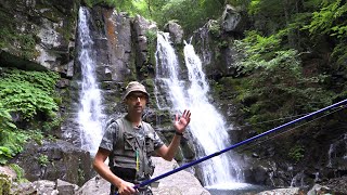 Alla ricerca della trota mediterranea - Le cascate del Dardagna