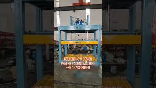 Veneer packing machine