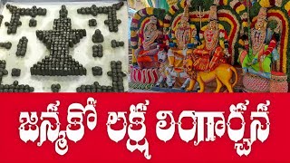 మహా లక్ష లింగార్చన, మట్టితో లక్ష లింగాలు #mahalingam #shivaratri #karthikamasam #karthikadeepam