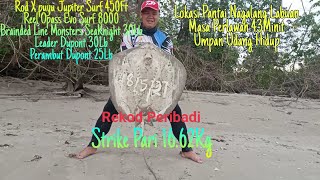 STRIKE KARABAU LAUT Pantai Nagalang Labuan #SurfCasting #SurfFishing #RekodPeribadi 16.62Kg 08/05/21