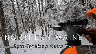 Tracking A Northern Maine Whitetail on Fresh Snow // Full Narrative of the Day