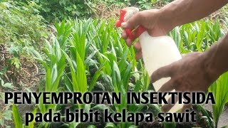 Pengendalian hama bibit kelapa sawit