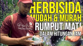 Herbisida Alternatif Murah, 7000 Rupiah Gulma Keok!