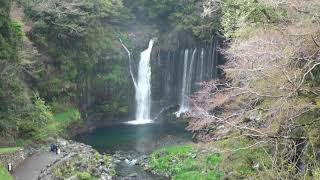 白糸の滝 - Shiraito Falls, Fujinomiya, Japan