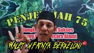 kunci cepat sukses bagi petani Walet ikuti langkah ini..