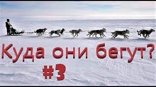 Первые проблемы в гонке \ Эссо \ Берингия 2019 Камчатка  #3