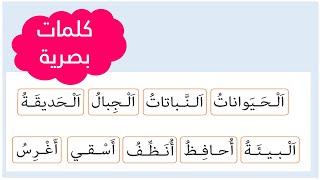 الكلمات البصرية📖📖 للوحدة الخامسة من كتابي في اللغة العربية المستوى الأول