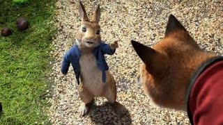 Pedro o Coelho (Peter Rabbit, 2018) Trailer 2# Dublado