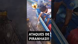 ATAQUES DE PIRANHAS!!