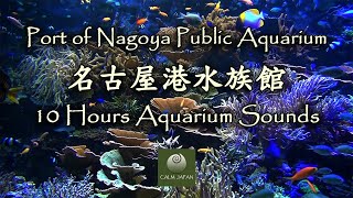 AQUARIUM (No Music) - 10 HOURS UNDERWATER SOUNDS - SLEEP MUSIC