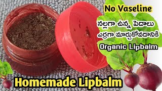 Homemade Natural Lipbalm for Pink Lips/Beetroot Lipbalm at Home in Telugu/Homemade lipbalm Telugu