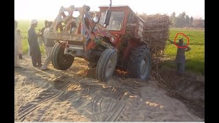 Massey Tractor Fail | Decorated MF260 turbo Tractor fully loaded trolley stuck in the mud