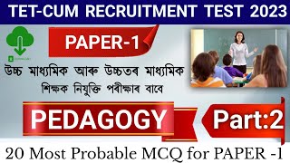 Tet Cum recruitment test || Pedagogy || High school Tet 2023 || assam high school tet pedagogy class