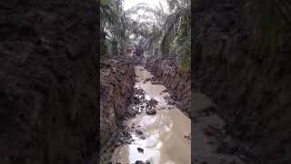 Akibat sering kena banjir