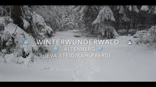 Winterwunderwald - Altenberg I Teil 2