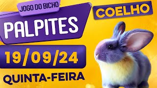 PALPITE DO DIA 19/09/2024 - JOGO DO BICHO 🍀 TODAS AS LOTERIAS 🍀