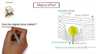 The Science Behind the Magnus Effect: Bernoulli's Principle & Newton's Laws