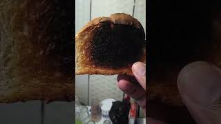 Burned Toast.