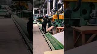 auto double sizer plywood machine