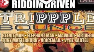 2009 TRIPPPLE BOUNCE RIDDIM MIX   CR203 RECORD