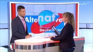 Wie radikal ist die AfD?