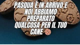 Nuovi Prodotti Pasquali per il tuo cane