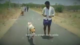 PARITAALA SRIRAM new status