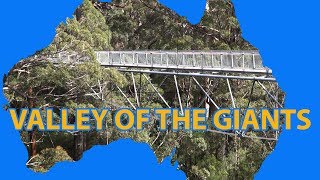 Valley of the Giants - Tree Top Walk - Western Australia