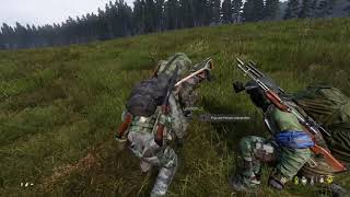 Dayz kampf gegen 8