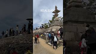 Expectativa x Realidade ⛩️🇯🇵#expectationvsreality #expectativaxrealidade #miyajima