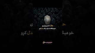 حالت که هر ډول وی خو هیڅکله نه باید زنګ بدل کړو #inshotedit #شعر