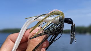 Does This Chatterbait Catch Bass ??