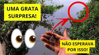 NÃO ESPERAVA ESSE PEIXE!