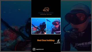 Red Sea holiday