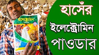 হাসেঁর ইলেক্ট্রোমিন পাওডার | Electromin Powder | হাঁসের খামার | uddokta | safollo | duck farm